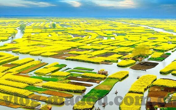 91麻豆视频国产-追寻多元文化，解析91麻豆视频国产现象的边缘探讨