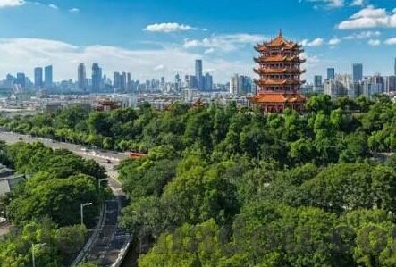 大象传媒app下载入口-探索大象传媒APP，连接创意与娱乐的桥梁
