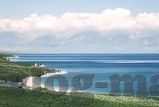 大象传媒 下载-探索大象传媒下载的多元化价值与安全实践
