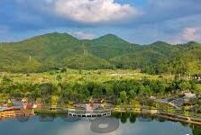 大象传媒在线果冻天美-探索大象传媒与在线果冻天美的独特魅力