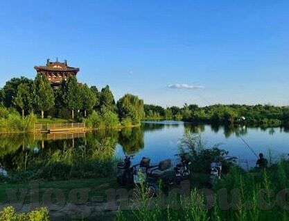 国产麻豆一精品一av免费软件-新纪元，多元文化视角下的优质创作与安全自享