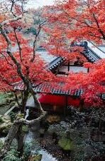 果冻传媒app在线下载-探索果冻传媒APP，在线下载的便捷与娱乐新体验