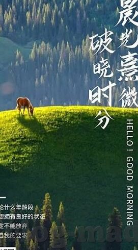 韩国伦理电影夜播-韩国伦理电影夜播，文化、社会与艺术的交织