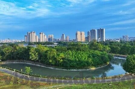 麻豆传媒app在线-麻豆传媒APP，深度揭示网络视频平台的真实面貌