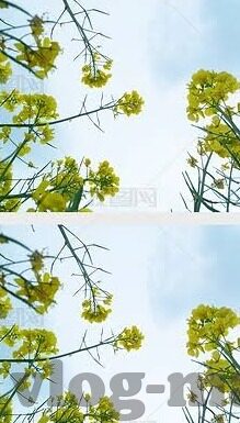 麻豆传媒ios下载-关于话题，希望能借助沟通平台适时交流，共创文明网络空间——理解麻豆传媒的用途与避免不良媒体影响的重要性