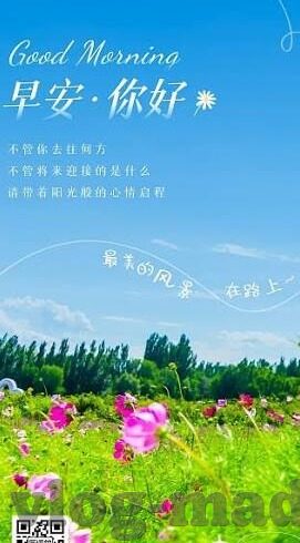 麻豆传媒映画app下载-探寻娱乐浪潮中的多元选择，揭开麻豆传媒·映画APP的神秘面纱