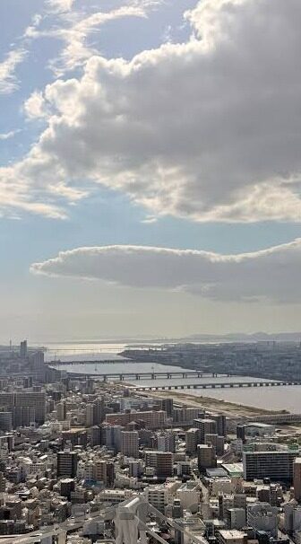 麻豆剧情果冻传媒-麻豆剧情与果冻传媒，网络文化的新视角