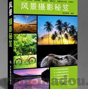 麻豆文化传媒-麻豆文化传媒，创新性叙事与艺术融合的先锋