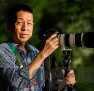 青青草视频成人vip号-青青草视频，成人娱乐的数字乐园与边界探讨