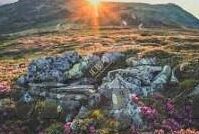 日韩精品一区二区三区中文-探索日韩文化精髓，一区、二区、三区的中文视角