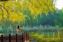糖心vlog官网入口地址-追踪潮流新视角，探访糖心Vlog官网